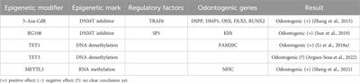Elucidating epigenetic mechanisms governing odontogenic differentiation in dental pulp stem cells: an in-depth exploration